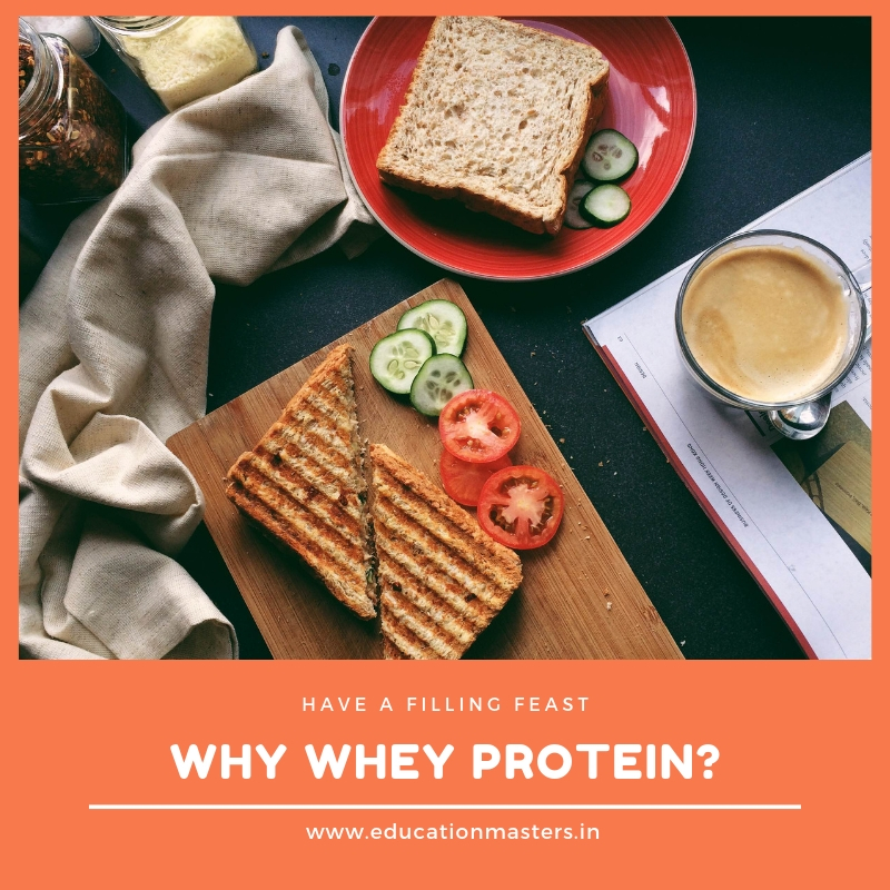 What is Protein-whey protein-Types and Sources