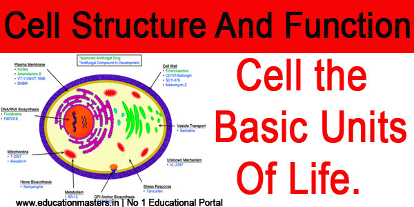 cell-structure-and-function