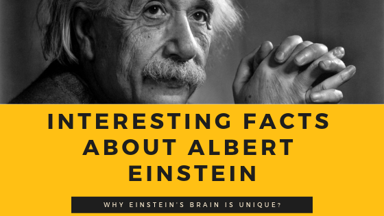 Latest interesting facts about Albert Einstein| Why Einstein’s Brain is unique?