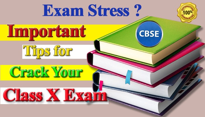 how-to-prepare-for-examination-for-class-x-before-a-month-in-2020