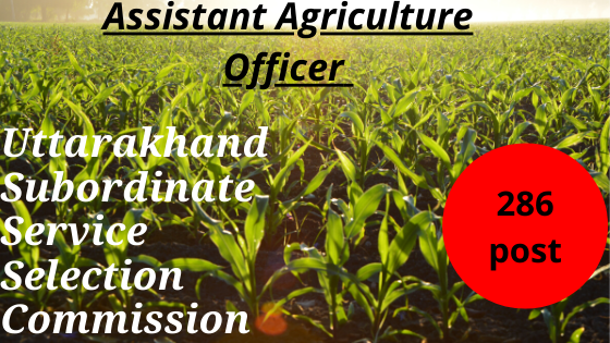 uttarakhand-subordinate-service-selection-commission-apply-online-assistant-agriculture-officer-280-posts-vacancies