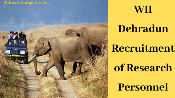 wii-dehradun-released-recruitment-of-research-personnel