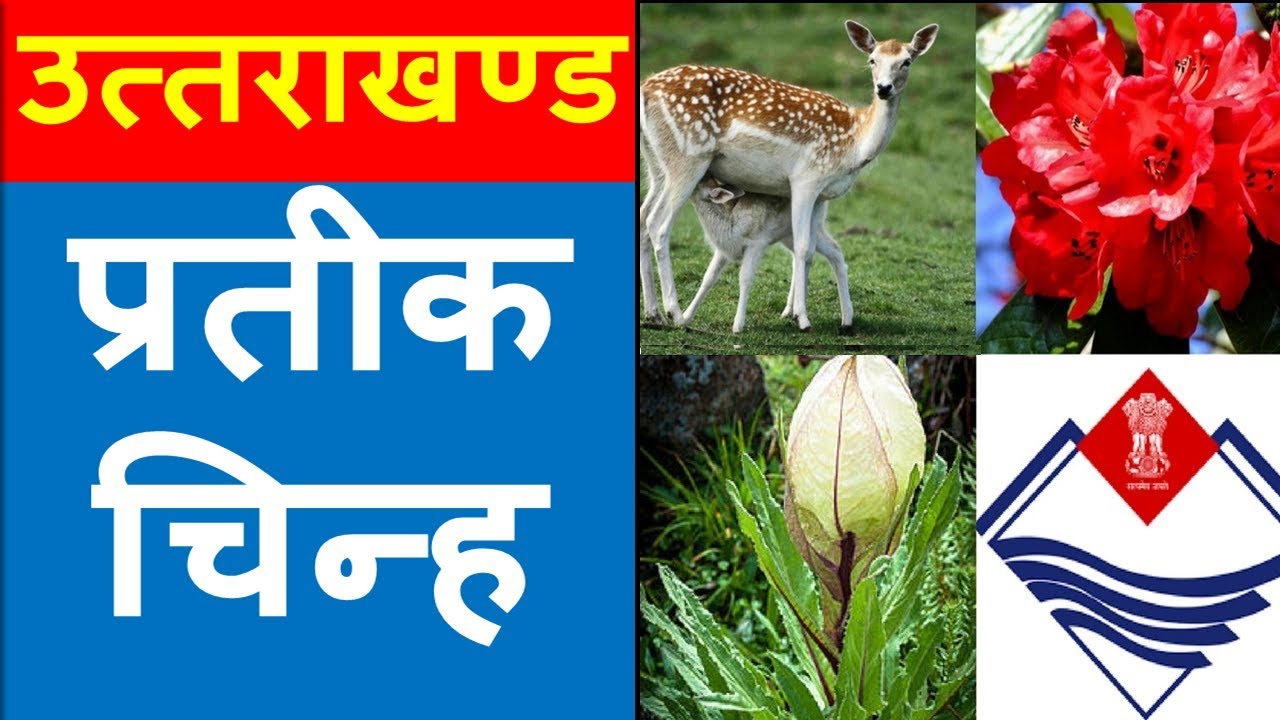 Uttarakhand State Symbols  ||उत्तराखंड राज्य के प्रतीक चिन्ह || Uttarakhand G.k
