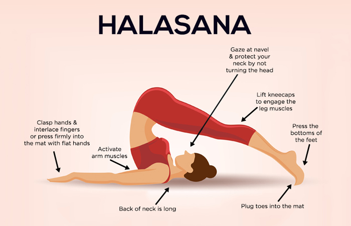 halasana-benefits-steps-and-precautions