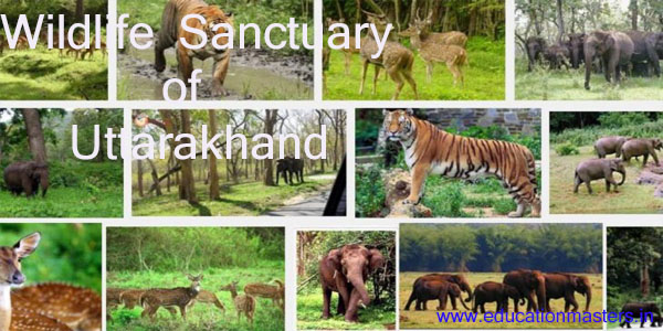 famous-wildlife-sanctuary-of-uttarakhand